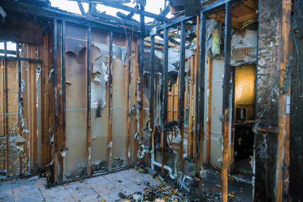 Professional Fire Damage Repair technician working in Tampa, FL