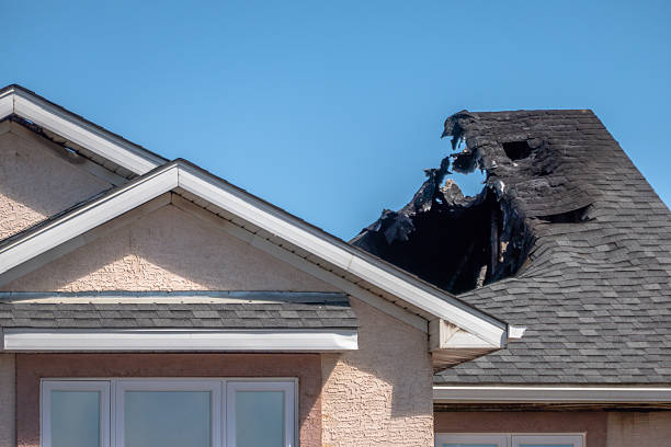 Top rated local Fire Damage Repair specialists in Tampa, FL